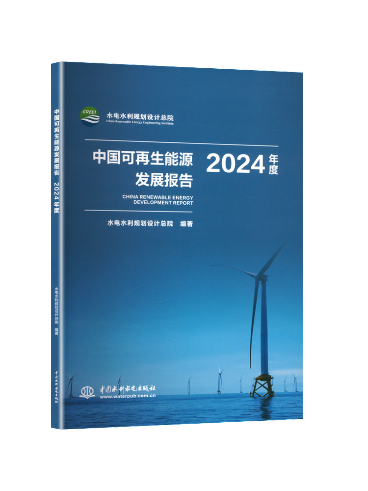 Renewable Energy Books - Buch-Winshare China's Renewable Energy Development Report